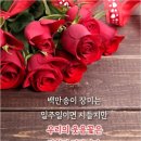 초원의꿈