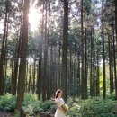 더심플원 | 데이트 스냅 찍으려다 웨딩 스냅 찍은 후기 [더심플원]