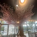 모산정 | 23-120 김해 율하 모산정칼국수 내돈내산!