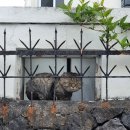 성은세탁소 이미지