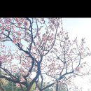 (유)라인디자인랩 이미지