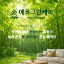 아너스 크리닝 네이버블로그