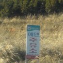 에덴주유소 이미지