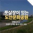 도안문화공원풋살장 이미지
