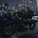 883 | [할리데이비슨] 아이언883 3개월 찐 후기