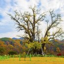 용계초등 이미지