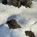 RR-1118[남조로]-상-1 | 제주 드라이브코스 1100고지 습지 | 겨울 제주 여행