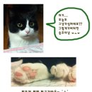 코스트코코몰 이미지