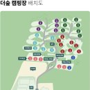 춘천 더숲 캠핑장 이미지