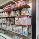 아프리카 동물병원 이미지