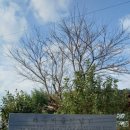 저동마을회관 이미지