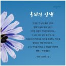 우리 인생의 이면에 있는 진실-우리의 본향은 하늘나라[하나님의교회] 이미지