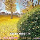 [전국명소탐방78] 🏵️가을철은행나무 풍경모음 🏵️전주한옥마을&#34;향교&#34;,&#34;청연루&#34; 이미지