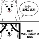 짬뽕지존마포점 이미지