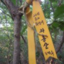 구봉1교 Daum카페