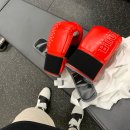 동대문구체육관 | 외대 복싱 체육관 추천, 이지복싱 이문동점 내돈내산 수강 후기