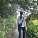 황구지천 자전거길(하천) | 가을 감성 물씬~ 황구지천 트레킹 코스 완벽 가이드