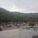 녹색산림문화관 네이버블로그