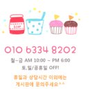 도그앤츄 이미지