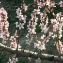 서림농원 이미지