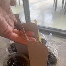 중앙골프 | 아난티(ANANTI) 중앙 골프클럽 다녀온 후기