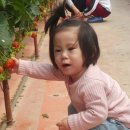 동빈농장 이미지