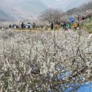 원동온천사우나 | 충주 능암탄산온천 탄산기포 톡톡 핀란드 사우나 제대로 즐기는 3가지