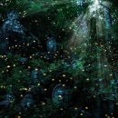 반딧불이 이미지