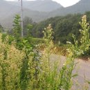 소야농장 이미지