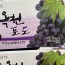 박흥수농장 네이버블로그