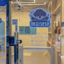 별빛댕댕