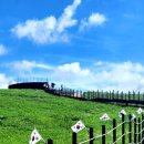 한우목장 이미지