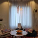 제주 알모 이미지