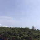 향기펜션텔 이미지