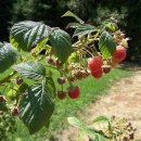 나이스 스크린 골프연습장 이미지