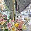 둔산종합광고 | 대전 꽃집 어디가 좋을까 비올레뜨플라워 직접 가보고 느낀 진짜 후기