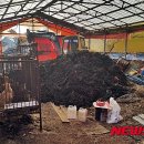 양성농장(1) 이미지