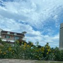 히든스테이민박 | 재충전의 시간 : 강원 강릉 웰니스 프로그램 리트릿 <오롯이, 나 X 훌라> 1박2일 로컬 여행 추천 후기