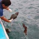 갯벌펜션(민박) 이미지