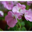 하늘꽃한의원 이미지