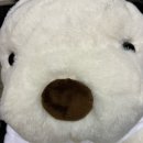 하늘만큼땅만큼