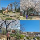 한성체육관(태권도) 이미지