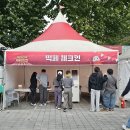 이마트24대구산격점 | 2025 제5회 대구 떡볶이 페스티벌 가을 축제 꿀팁 후기