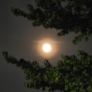 코오롱호텔 | 경주 코오롱 호텔 투숙 후기: 룸 컨디션부터 조식, 야경까지 총정리!