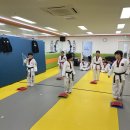 바른i 태권도 이미지