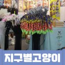 근우무역 이미지