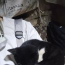 와라쉼터 | [이집트 다합]시나이산 등산 울프사파리 이용 솔직후기, 밤낚시