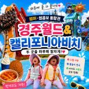 매직카용품 | 비치·경주월드 썸머,썸콤보 통합권｜반입가능음식 주차요금할인 먹거리 썬베드위치 (4세,5세 이용후기)
