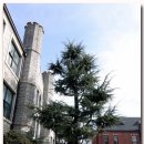 중앙고등학교 이미지