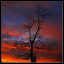 [7080 트로트 노래모음] 이미지